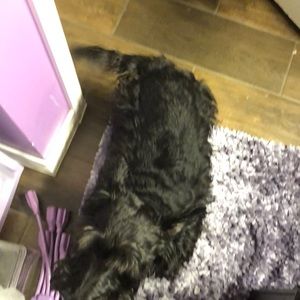 Meet your Posher, Darlene